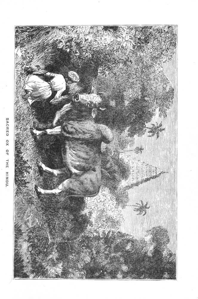 Scan 0039 of Pictures and stories of natural history