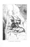 Thumbnail 0047 of Pictures and stories of natural history