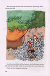 Thumbnail 0012 of Sweet, sweet mango tree