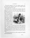 Thumbnail 0019 of Heartsease and the rabbits