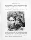 Thumbnail 0029 of Heartsease and the rabbits