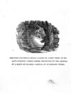 Thumbnail 0115 of Life and surprising adventures of Robinson Crusoe, of York, mariner