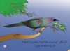 Thumbnail 0011 of The koel