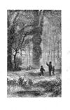 Thumbnail 0015 of A day in the woods