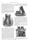 Thumbnail 0005 of St. Nicholas. December 1873