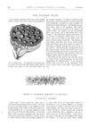 Thumbnail 0046 of St. Nicholas. December 1873