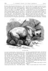 Thumbnail 0022 of St. Nicholas. August 1874