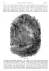 Thumbnail 0034 of St. Nicholas. November 1874