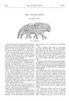 Thumbnail 0013 of St. Nicholas. March 1875