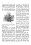 Thumbnail 0017 of St. Nicholas. March 1875