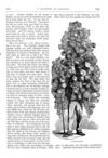Thumbnail 0018 of St. Nicholas. March 1875