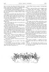 Thumbnail 0021 of St. Nicholas. May 1875