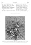 Thumbnail 0054 of St. Nicholas. August 1875