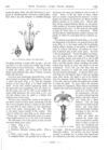 Thumbnail 0022 of St. Nicholas. January 1876