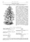Thumbnail 0075 of St. Nicholas. January 1876