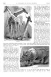 Thumbnail 0019 of St. Nicholas. August 1877