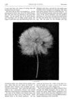 Thumbnail 0035 of St. Nicholas. September 1877