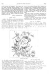 Thumbnail 0062 of St. Nicholas. September 1877