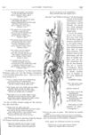 Thumbnail 0032 of St. Nicholas. October 1877