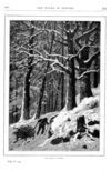 Thumbnail 0052 of St. Nicholas. March 1878