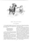 Thumbnail 0034 of St. Nicholas. November 1887