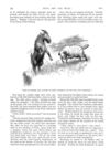 Thumbnail 0036 of St. Nicholas. November 1887