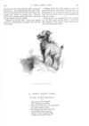 Thumbnail 0037 of St. Nicholas. November 1887