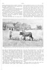 Thumbnail 0059 of St. Nicholas. November 1887