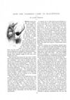 Thumbnail 0051 of St. Nicholas. January 1888