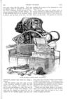 Thumbnail 0036 of St. Nicholas. May 1888