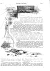 Thumbnail 0044 of St. Nicholas. May 1888