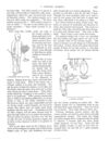 Thumbnail 0068 of St. Nicholas. May 1888