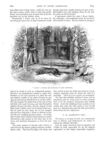 Thumbnail 0036 of St. Nicholas. July 1888