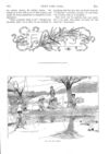 Thumbnail 0032 of St. Nicholas. September 1888