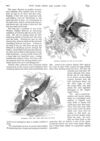 Thumbnail 0056 of St. Nicholas. September 1888