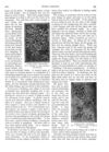 Thumbnail 0043 of St. Nicholas. November 1888