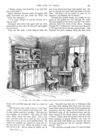 Thumbnail 0049 of St. Nicholas. November 1888