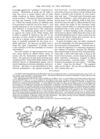 Thumbnail 0033 of St. Nicholas. March 1889