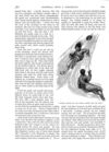 Thumbnail 0063 of St. Nicholas. March 1889