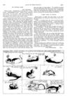 Thumbnail 0072 of St. Nicholas. March 1889