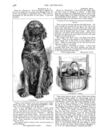 Thumbnail 0079 of St. Nicholas. March 1889
