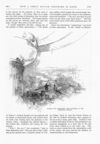 Thumbnail 0033 of St. Nicholas. December 1886