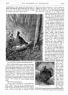 Thumbnail 0018 of St. Nicholas. April 1887