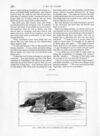 Thumbnail 0022 of St. Nicholas. June 1889