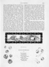 Thumbnail 0077 of St. Nicholas. July 1889