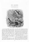 Thumbnail 0065 of St. Nicholas. April 1890