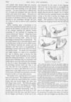 Thumbnail 0019 of St. Nicholas. August 1890