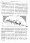 Thumbnail 0026 of St. Nicholas. August 1890
