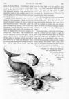 Thumbnail 0060 of St. Nicholas. August 1890