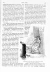 Thumbnail 0048 of St. Nicholas. November 1890